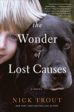 The wonder of lost causes : a novel  Cover Image
