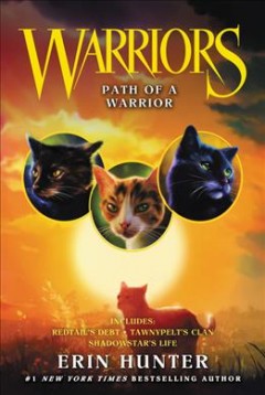 Path of a warrior  Cover Image