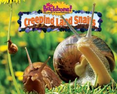 Creeping land snails  Cover Image