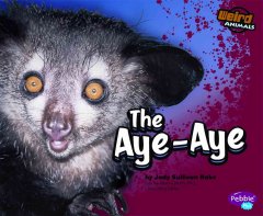 The aye-aye  Cover Image