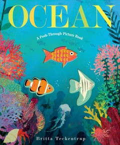Ocean : a peek-through picture book  Cover Image