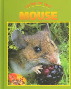 Caring for your mouse  Cover Image