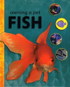 Owning a Pet Fish  Cover Image