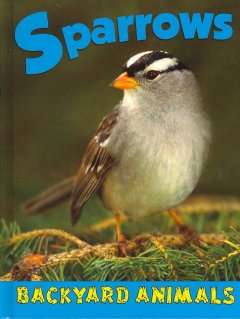 Sparrows  Cover Image