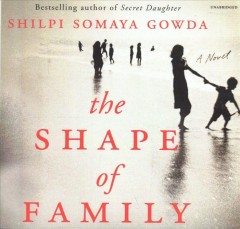 The shape of family a novel  Cover Image