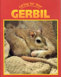 Caring for your gerbil  Cover Image