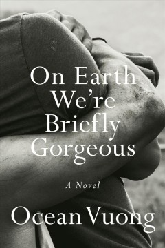 On earth we're briefly gorgeous : a novel  Cover Image