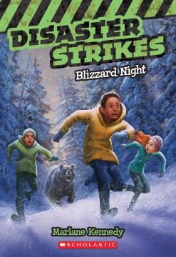 Blizzard night  Cover Image