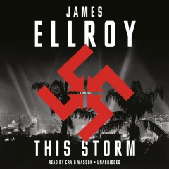 This storm a novel  Cover Image