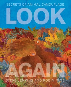 Look again : secrets of animal camouflage  Cover Image