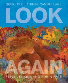 Look again : secrets of animal camouflage  Cover Image