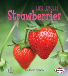 Strawberries  Cover Image