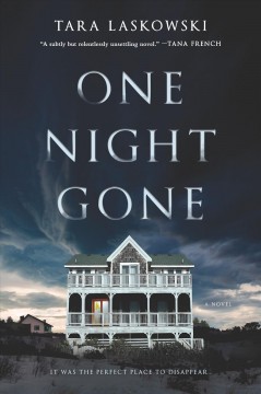 One night gone : a novel  Cover Image