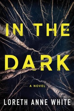 In the dark  Cover Image