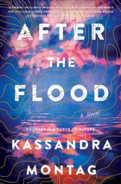 After the flood : a novel  Cover Image