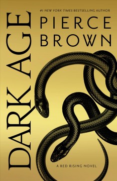 Dark age  Cover Image