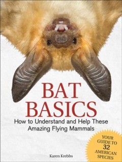 Bat basics : how to understand and help these amazing flying mammals  Cover Image