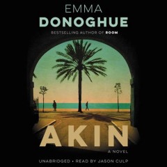 Akin a novel  Cover Image