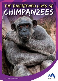 The threatened lives of chimpanzees  Cover Image