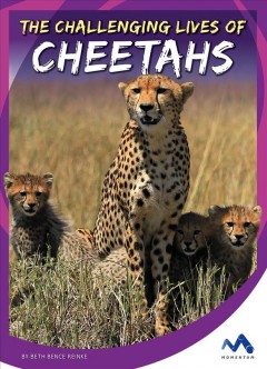 The challenging lives of cheetahs  Cover Image