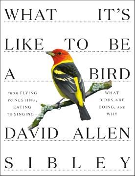 What it's like to be a bird : from flying to nesting, eating to singing-- what birds are doing, and why  Cover Image