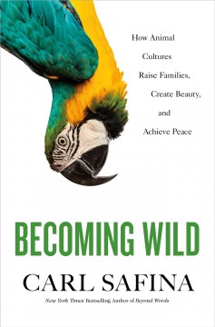 Becoming wild : how animal cultures raise families, create beauty, and achieve peace  Cover Image