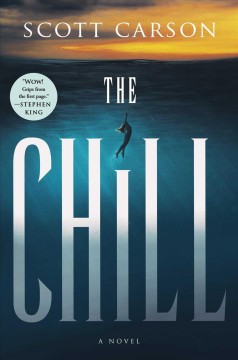The chill : a novel  Cover Image