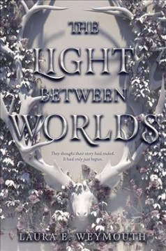 The light between worlds  Cover Image