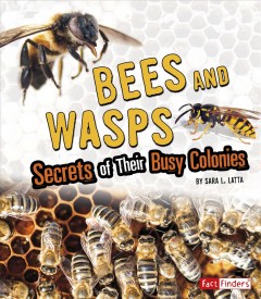 Bees and wasps : secrets of their busy colonies  Cover Image