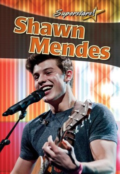 Shawn Mendes  Cover Image