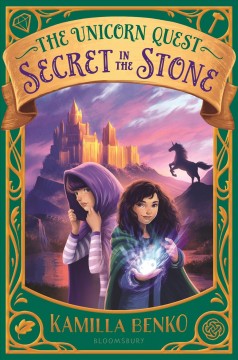 Secret in the stone  Cover Image