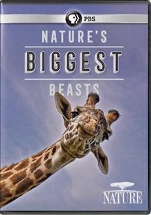 Nature's biggest beasts Cover Image