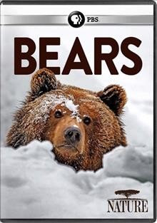 Bears Cover Image