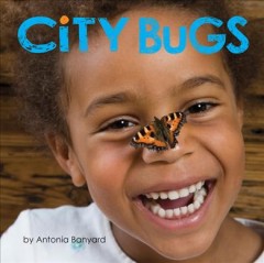 City bugs  Cover Image