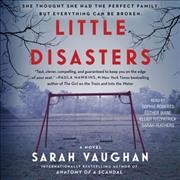 Little disasters a novel  Cover Image