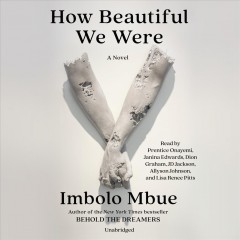 How beautiful we were a novel  Cover Image