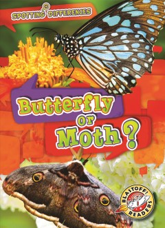 Butterfly or moth?  Cover Image