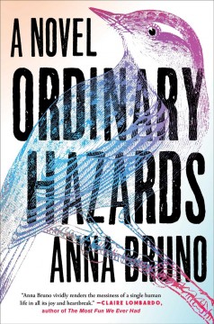 Ordinary hazards : a novel  Cover Image