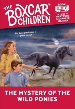 Mystery of the wild ponies  Cover Image