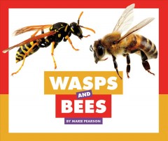 Wasps and bees  Cover Image