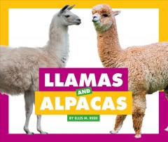 Llamas and alpacas  Cover Image