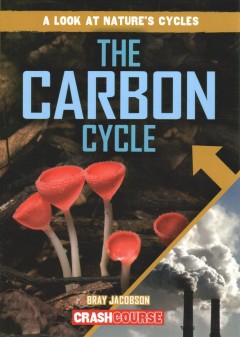 Carbon Cycle  Cover Image