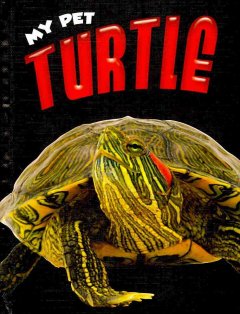 Turtle  Cover Image