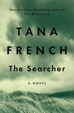 The searcher  Cover Image