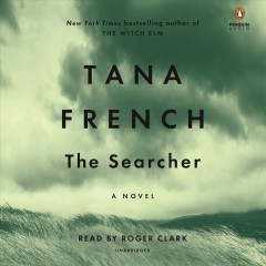The searcher Cover Image