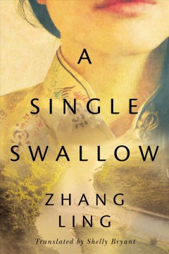 A single swallow  Cover Image