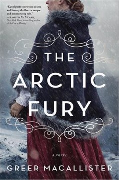 The Arctic fury : a novel  Cover Image