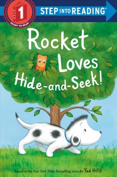Rocket loves hide-and-seek!  Cover Image