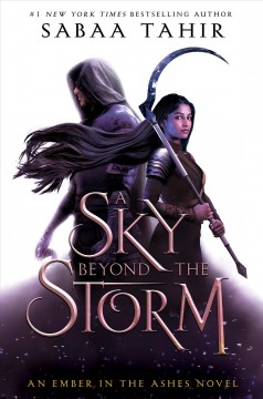 A sky beyond the storm : a novel  Cover Image