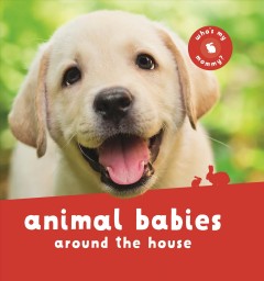 Animal babies around the house. Cover Image